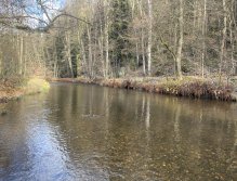 Svatava near the gardening colony in Svatava