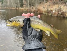 Svatava near the gardening colony in Svatava