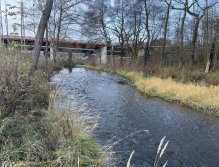 Svatava under the sewage treatment plant in Svatava