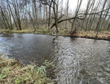 Svatava under the sewage treatment plant in Svatava