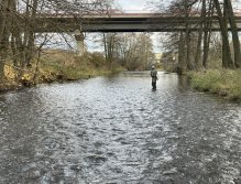 Svatava under the sewage treatment plant in Svatava