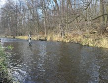 Svatava under the sewage treatment plant in Svatava