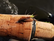 Berounka near Beroun, Czech Republic