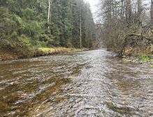 Svatava near Høebeny