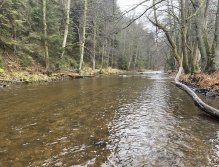 Svatava near Høebeny