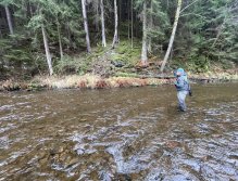 Svatava near Høebeny