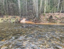 Svatava near Høebeny