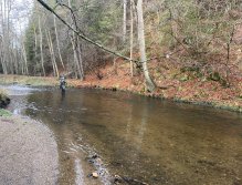 Svatava near Høebeny