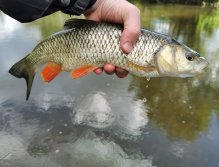 Litavka in Libomyšl