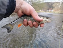 Litavka in Libomyšl