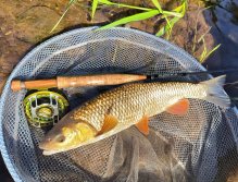 Summer Fly Fishing On Rivers In The Giant Mountains