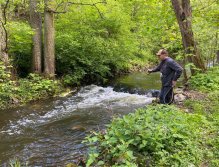 Kosinsky stream near Tabor, Czech Republic