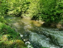 Kosinsky stream near Tabor, Czech Republic