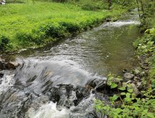 Kosinsky stream near Tabor, Czech Republic