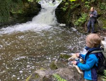 Kosinsky stream near Tabor, Czech Republic