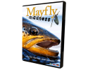 Mayfly