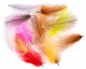 CDC Feathers | Fly Tying | CzechNymph.com