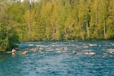 Byske river - destination details