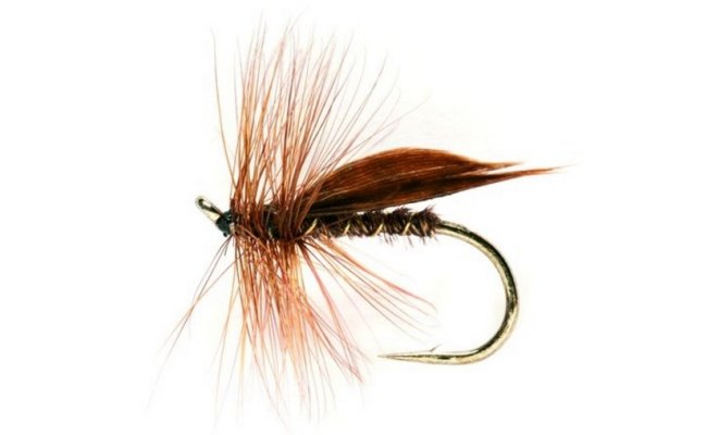 Cinnamon Sedge | CzechNymph.com