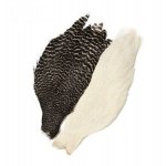 Genetic Hen Capes Veniard