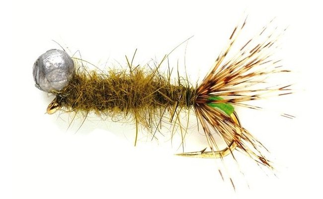 HVK Leadhead Caddis Olive | CzechNymph.com