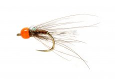 KJ Hot Orange Sighting Nymph