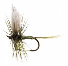 Large Dark Olive