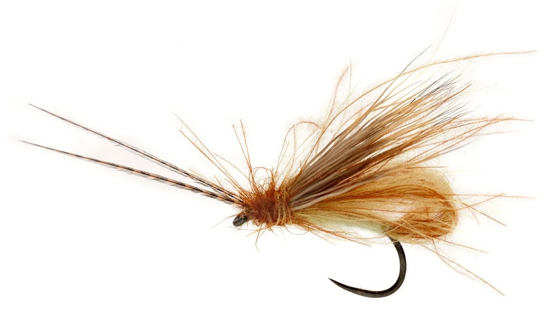 McPhail Bubble Wing Cinnamon Caddis B/L | CzechNymph.com