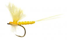 OE Mohican Yellow May Dun B/L