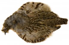 Partridge Complete Skin Hends