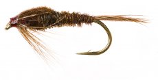 Pheasant Tail Nymph