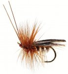 Sedge Saville Dark Brown