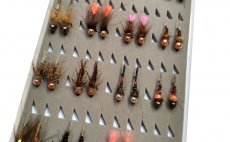 TOP River Tungsten Nymphs - Fly Selection