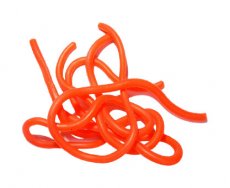 Squirmy Wormy Tommi-Fly