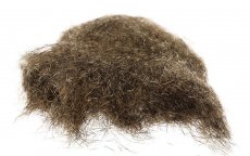 Squirrel Dubbing Dohiku