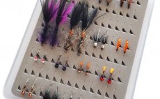 Mountain Trout Fly Assortment