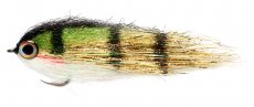 Clysdale Gold Perch