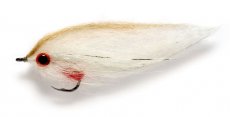 Dougie's Roach
