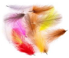 CDC Feathers Polish Quills