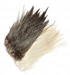 Genetic Cock Saddles Veniard Grade 2